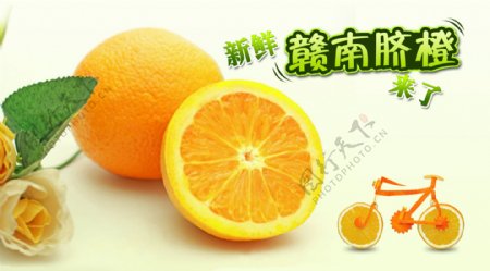 橙子赣南脐橙水果
