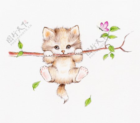 树枝上的小猫插画
