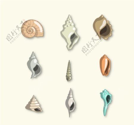彩色海螺和贝壳设计矢量图图片