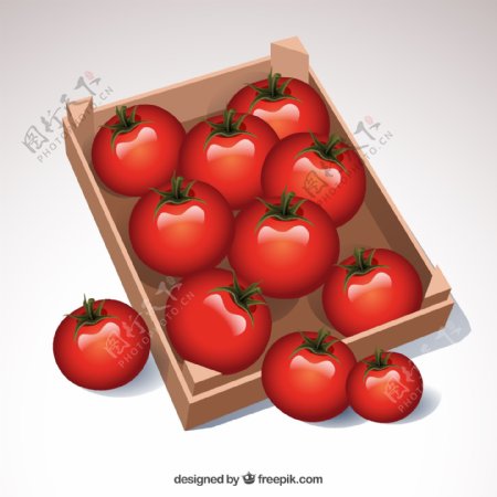 精美红色西红柿