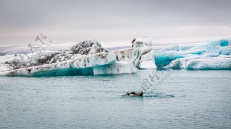 南极冰山风景图片