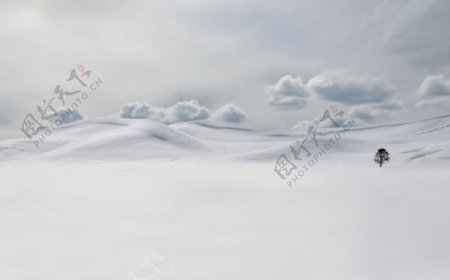 唯美的雪景图片