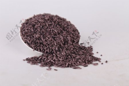 紫米图片