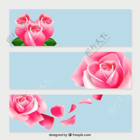 粉色玫瑰横幅