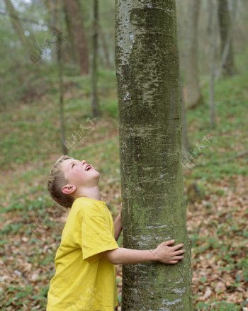 抱着大树的小男孩图片