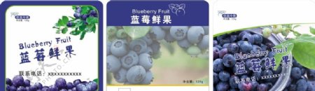 蓝莓标签