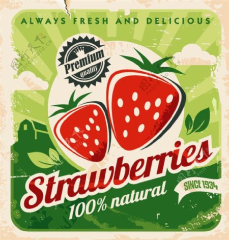 复古草莓标签设计图片