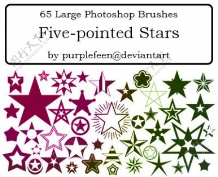 65尖的星purpl