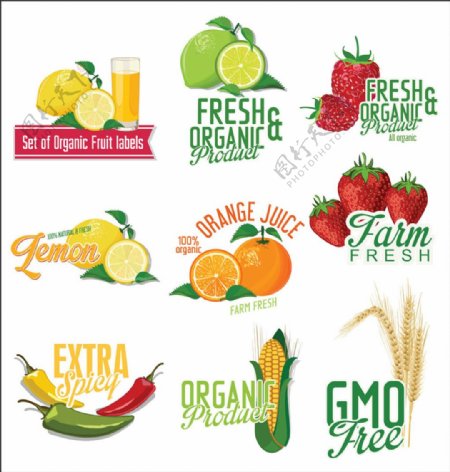有机果蔬质量标签图片