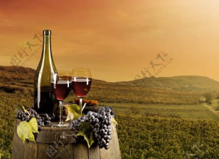 葡萄庄园与葡萄酒图片