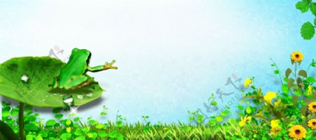 童装海报小青蛙绿色春季背景图片