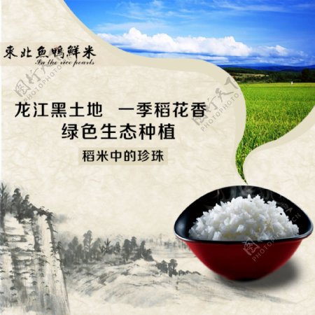淘宝主图首图中国风大米粮食食品类