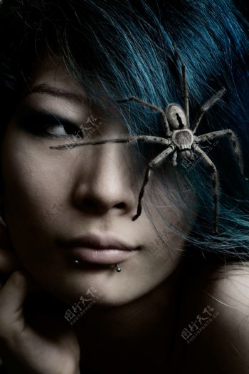 蜘蛛与美女图片