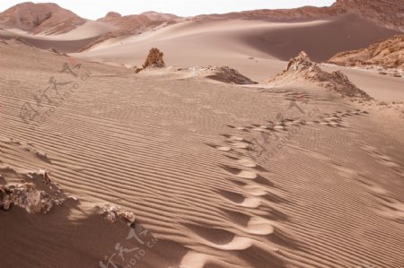 沙漠上的脚印图片