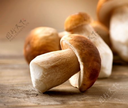 木板上的香菇