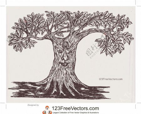 树的脸画图