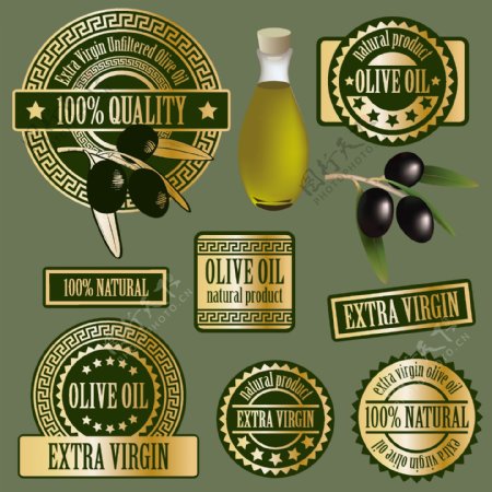 橄榄油主题标签
