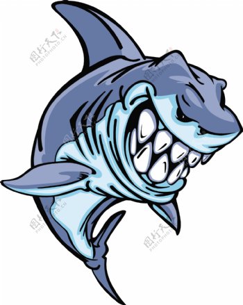 蓝色的鲨鱼卡通