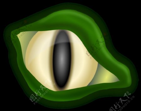 鳄鱼的眼睛