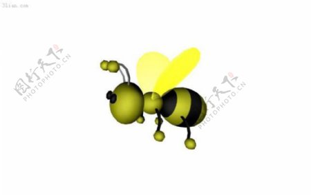 3D蜜蜂模型