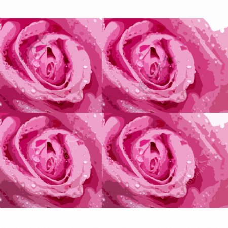 粉色艺术玫瑰花