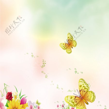 花朵蝴蝶暖色背景