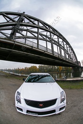 桥下的白色轿车图片