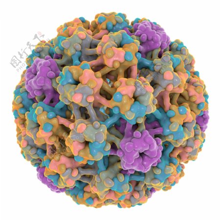 癌细胞球形病毒图片