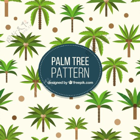 平面设计中的棕榈树图案