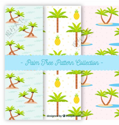 棕榈树和松树的图案