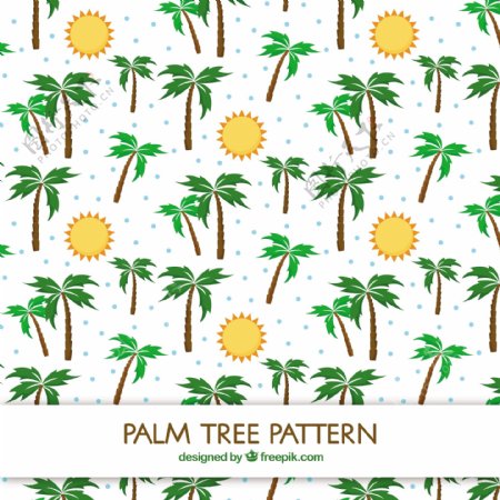 太阳树和棕榈树的平面图