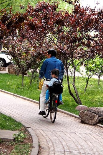骑自行车带儿子上学