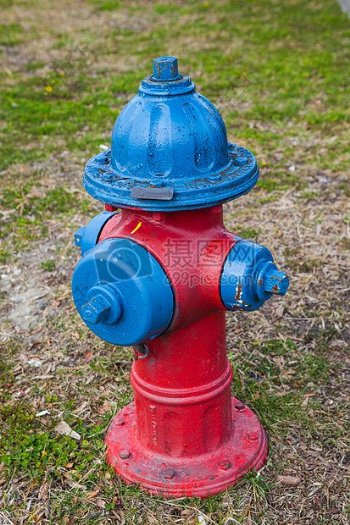 草地上的消防栓