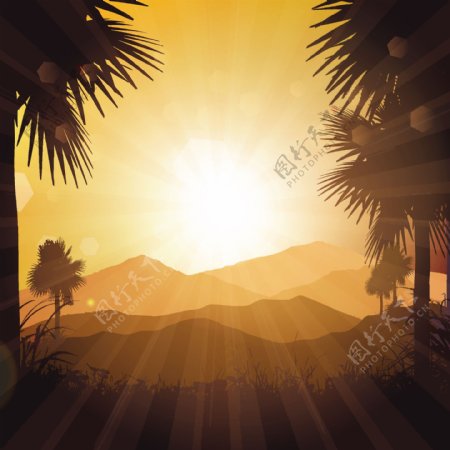 热带椰树剪影夕阳风景背景