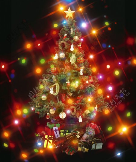 圣诞树背景模板