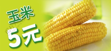 玉米玉米广告玉米海