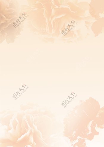 花型线条米色背景