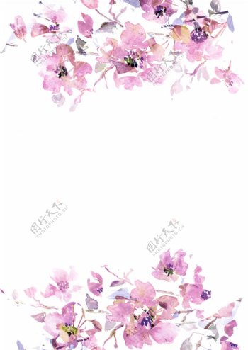 水彩紫色花朵背景