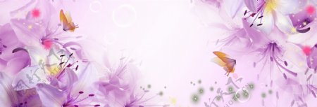 紫色唯美百合花背景banner