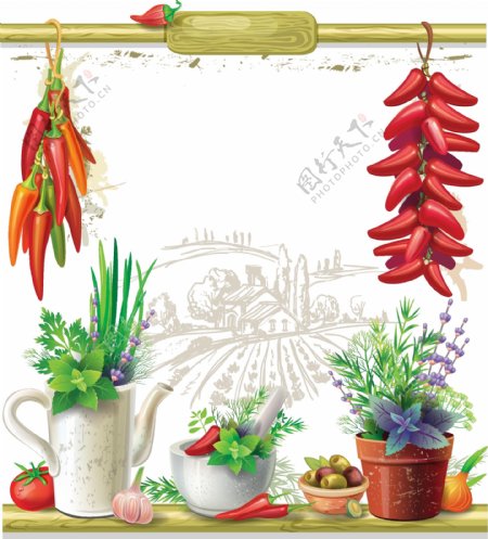 盆栽和辣椒