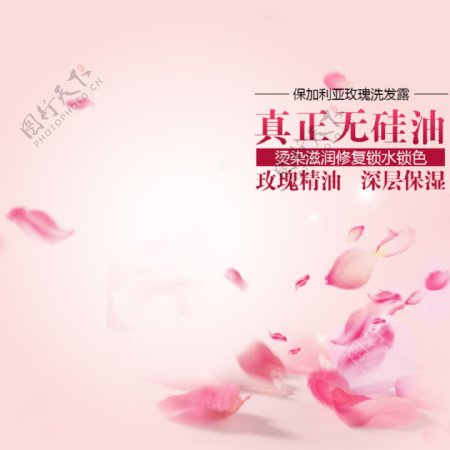 粉色花瓣促销推广主图背景图设计