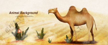 彩铅画效果动物分层背景骆驼