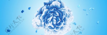 蓝色花朵背景海报