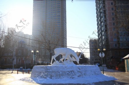 哈尔滨冬季街头图片