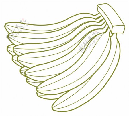 香蕉图束