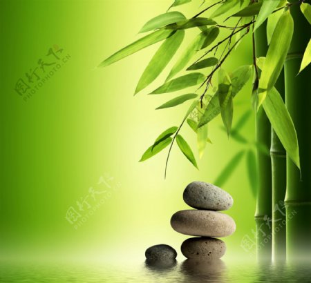 绿竹与鹅卵石