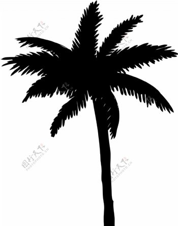 向量的棕榈树