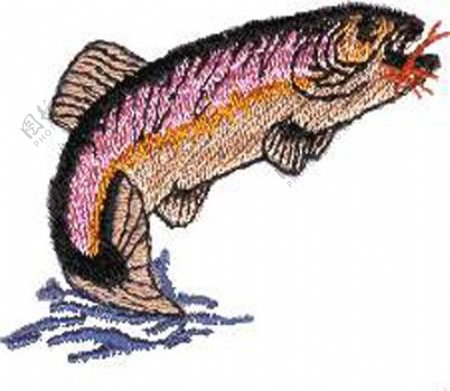 绣花动物鱼色彩彩色免费素材