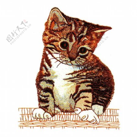 绣花动物猫色彩棕色免费素材