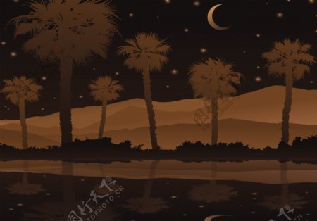 晚上棕榈树插画